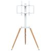 Product Thumbnail Image 4 of 10