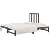 vidaXL Pull-out Day Bed without Mattress Grey 2x(90x200) cm
