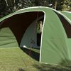 vidaXL Tunnel Tent with Roof Green and White 700 x 590 x 215 cm