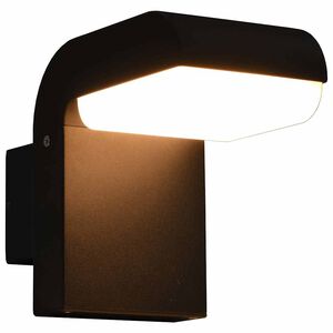 vidaXL Outdoor LED Wall Light 9 W Black Oval