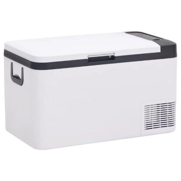 vidaXL Cool Box with Handle Black and White 18 L PP & PE