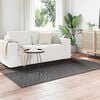 vidaXL Area Rugs Rectangular Anthracite 170 x 120 cm