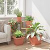 Product Thumbnail Image 4 of 12
