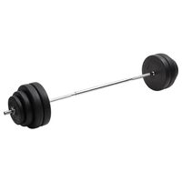 vidaXL Barbell with Plates 60 kg