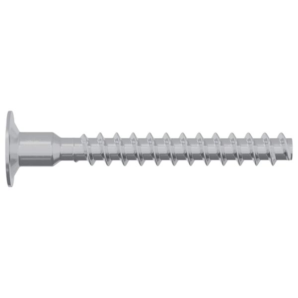vidaXL Screw 2 pcs Zinc-coated 5 x 40 mm Iron