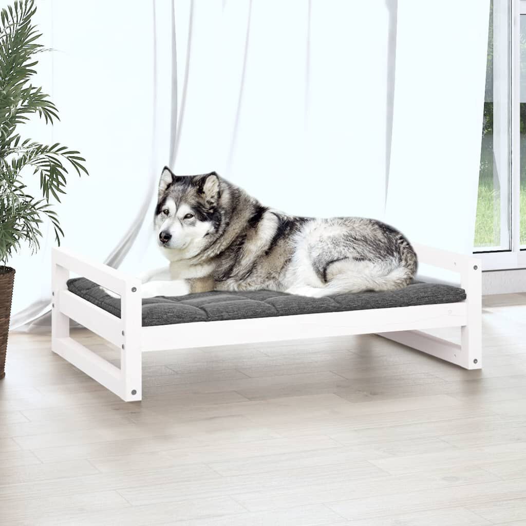 Really cool dog beds on sale