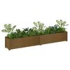 vidaXL Garden Planters 2 pcs Honey Brown 200x31x31 cm Solid Pinewood