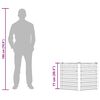 Product Thumbnail Image 12 of 12