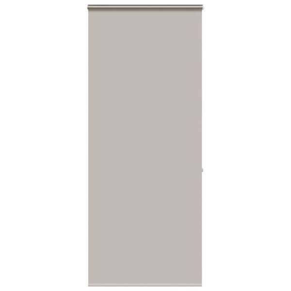 vidaXL Shower Roller Blind with Cassette 100x240 cm Fabric Width 96 cm