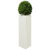 Product Thumbnail Image 4 of 12