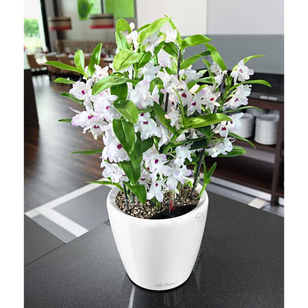 LECHUZA Table Planter CLASSICO LS 21 ALL-IN-ONE High-gloss White
