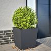 vidaXL Garden Planter Anthracite 50x50x50 cm Steel