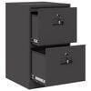 vidaXL File Cabinet Black 44 x 50 x 74.5 cm Cold-Rolled Steel
