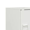 vidaXL Bedside Cabinets 2 pcs White 34.5x39x44 cm Steel