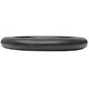 vidaXL Weight Plates 2 pcs 2x20 kg Cast Iron