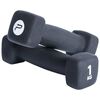 Pure2Improve Dumbbell Set 2x1 kg Neoprene Black