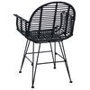 vidaXL Dining Chair 2 pcs Black 44 x 44 x 74 cm Rattan and Iron