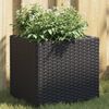 vidaXL Garden Planters 2 pcs Black 36x30x32 cm Poly Rattan