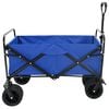 vidaXL Folding Hand Trolley Manual Blue 89 x 63 x 96 cm
