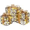 vidaXL Gift Box with 60 LEDs 3 pcs Warm white 20 x 20 x 20 cm Rattan
