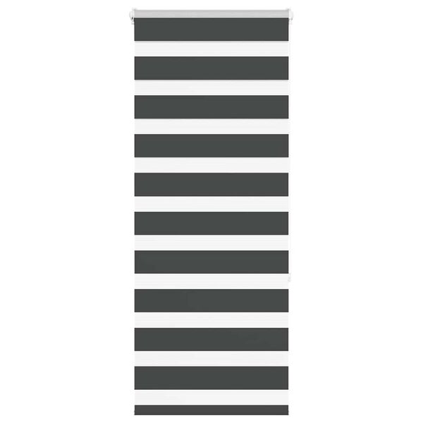 vidaXL Zebra Blind Black 55x150 cm Fabric Width 50.9 cm Polyester