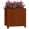 Product Thumbnail Image 3 of 11