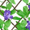 Product Thumbnail Image 5 of 6