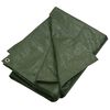 vidaXL Tarpaulin 180 g/m&sup2; 4x6 m Green HDPE