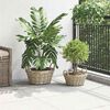 Product Thumbnail Image 3 of 10