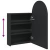 vidaXL Bathroom Mirror Cabinet with LED Light Arched Black 42x13x70 cm