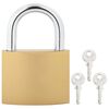 vidaXL U Lock with Keys Brass 6 x 2 x 9.1 cm Iron