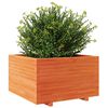 vidaXL Garden Planter Wax Brown 80x80x49.5 cm Solid Wood Pine