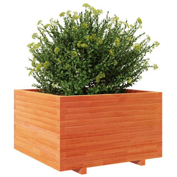 vidaXL Garden Planter Wax Brown 80x80x49.5 cm Solid Wood Pine