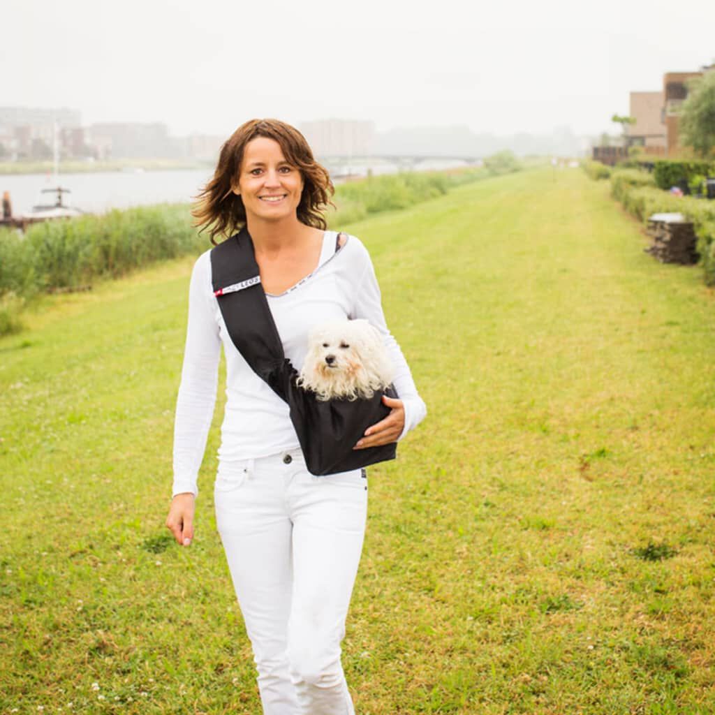 4 lazy hotsell legs pet carrier
