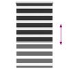 vidaXL Zebra Blind 50 x 100 cm Black