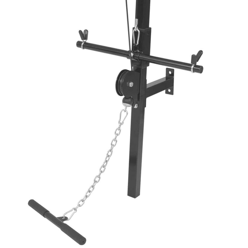 vidaXL Wall mounted Home Gym with 2 Pulleys vidaXL