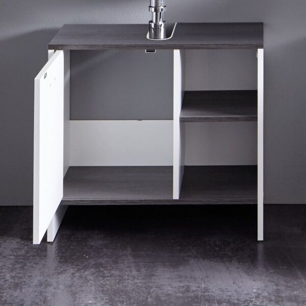 Trendteam Sink Vanity Unit with 1 Door SanDiego White and Smokey Silver