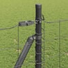 Product Thumbnail Image 5 of 17