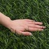 Product Thumbnail Image 5 of 6