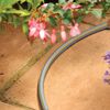 Product Thumbnail Image 4 of 4