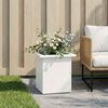 Product Thumbnail Image 2 of 12