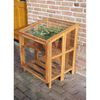 Esschert Design Greenhouse Hardwood Small GT32