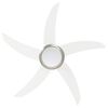 Product Thumbnail Image 6 of 12
