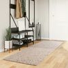 vidaXL Shaggy Rug PAMPLONA High Pile Modern Beige 80x250 cm