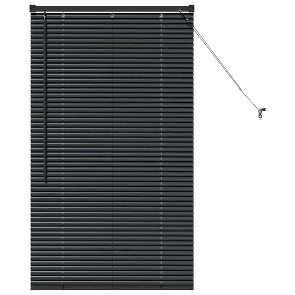 vidaXL Window Blind with Curtains Manual Black Aluminium