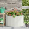 Product Thumbnail Image 2 of 12