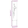 Product Thumbnail Image 13 of 13
