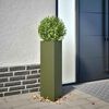 Product Thumbnail Image 2 of 12