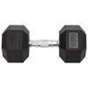 vidaXL Dumbbells 2 pcs 25 kg Total Cast Iron