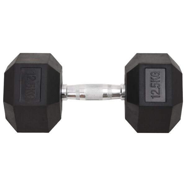 vidaXL Dumbbells 2 pcs 25 kg Total Cast Iron
